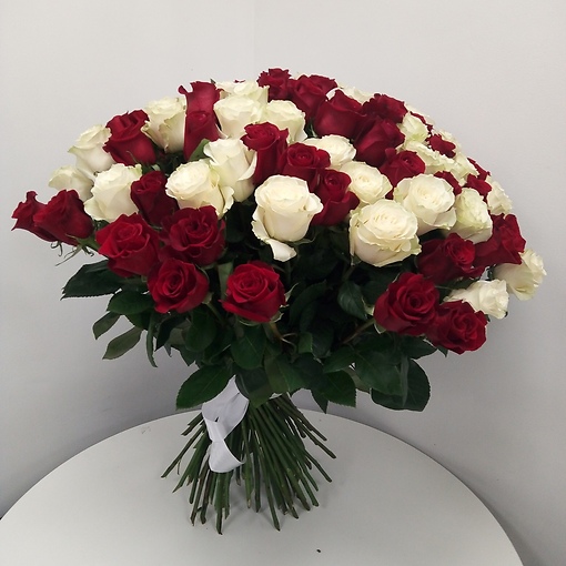 Акция! 101 красно-белая роза Эквадор, высотой 70 см со скидкой 30%