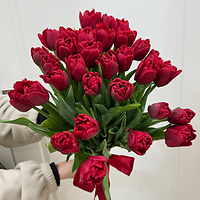 Поздравляем с прекрасным весенним праздником