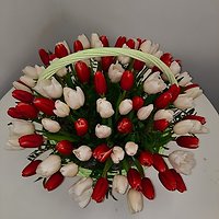 Разноцветные тюльпаны 