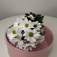 Цветы для зимних букетов