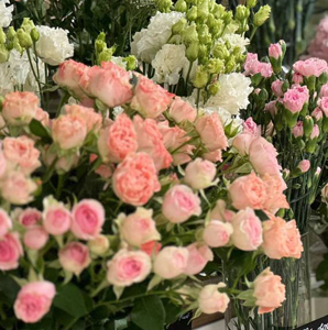 новая партия цветов