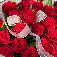 Цветы, в которые влюбляешься с первого взгляда