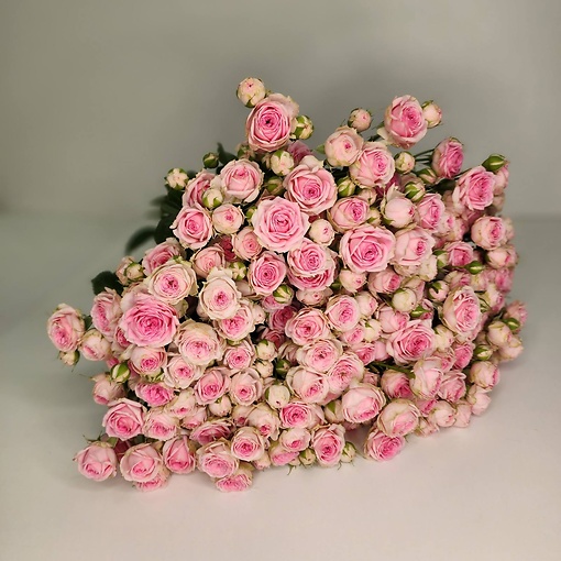 богатый выбор кустовой розы