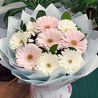 Букеты с герберами — цветы, которые говорят без слов