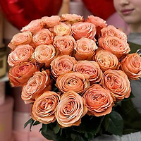 Акция на розу Эквадор