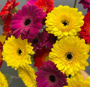 новая поставка