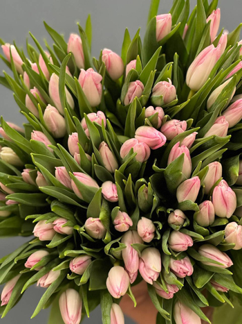 Подарите тюльпаны