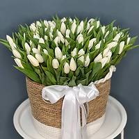 Зелень для букетов