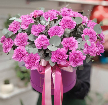 Композиции с гвоздикой