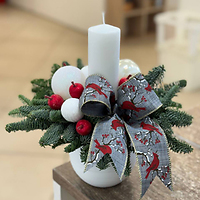 Настольные новогодние композиции с нобилисом