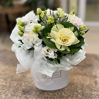 Композиции с брассикой — с декоративной капустой