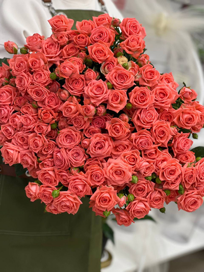 Коралловые розы