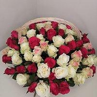 ТОП-5 популярных сортов роз