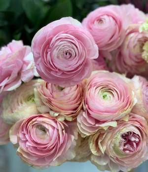 красивая поставка цветов