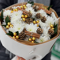 Со светлым праздником Рождества!