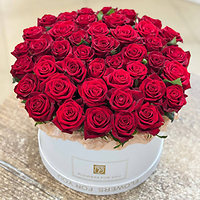 Новая поставка розы России