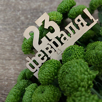 С Днём защитника Отечества!