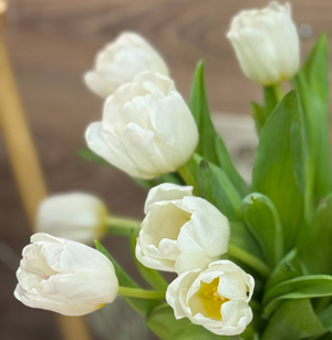 купить тюльпаны зимой