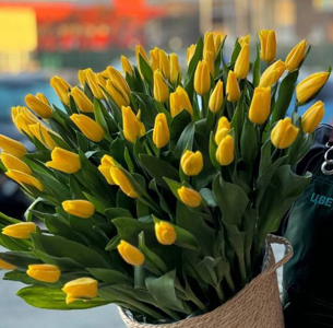 Шикарные корзины с тюльпанами