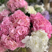 Новая партия цветов уже у нас!