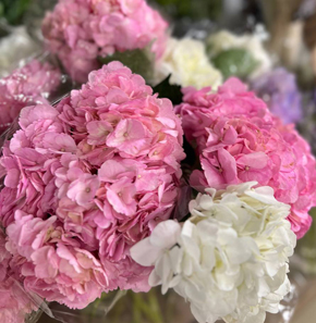 новая партия цветов уже у нас