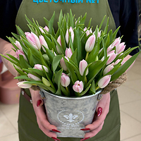 Тюльпаны на 8 марта!