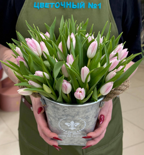 Тюльпаны на 8 марта