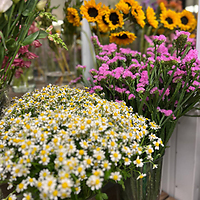 Новая поставка уже у нас!