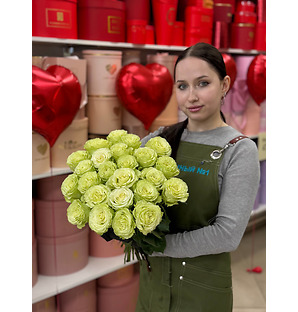 Бело-зеленая роза