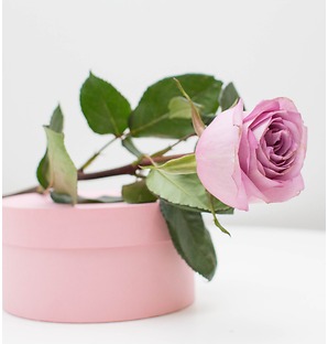 Роза фиолетовая, 50 см