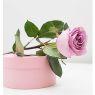Роза фиолетовая, 50 см