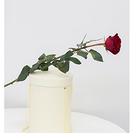 Роза бордовая, 80 см