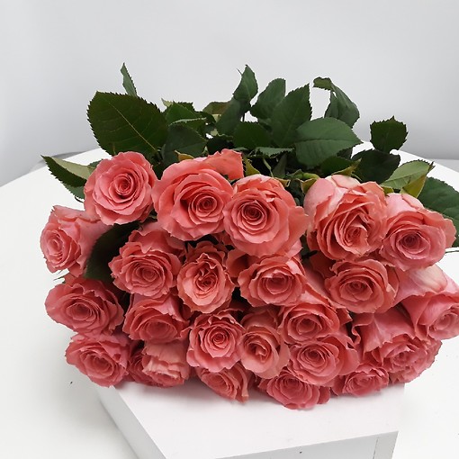  Роза Эквадор персикового цвета  25 штук, 50 см