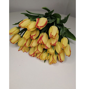 Тюльпаны жёлто-красные