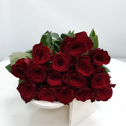 Бордовые розы Эквадор 70 см, 15 штук