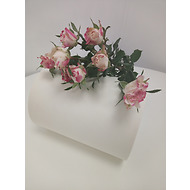 Роза кустовая бело-розовая, 60см