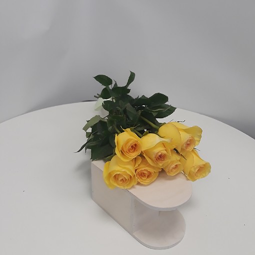 Роза Эквадор 50 см, 7 штук