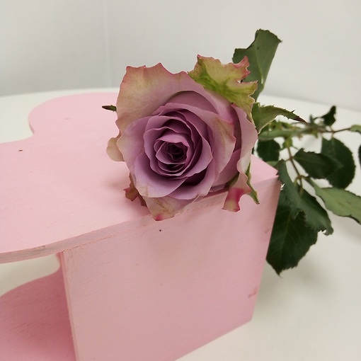 Фиолетовая роза, 40 см