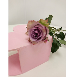 Роза фиолетовая, 40 см