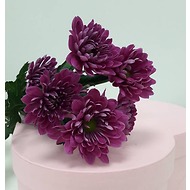 Хризантема фиолетовая, 1 ветка