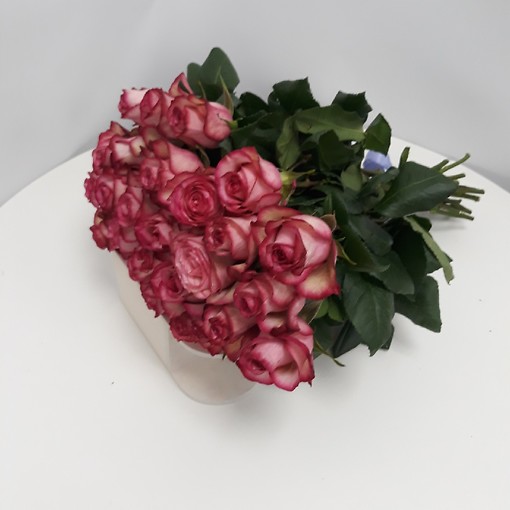 Букет из шикарных Эквадорских роз высотой 50 см
