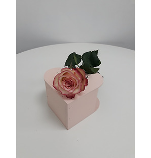 Роза розовая, 40 см.