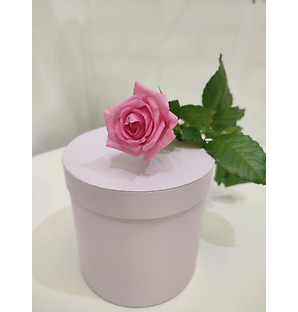 Роза Россия розовая 60 см