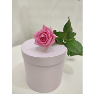 Роза Россия розовая 60 см